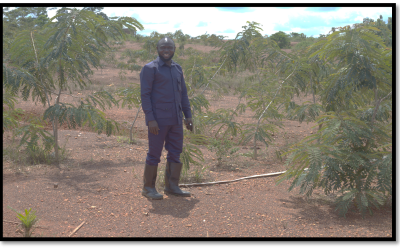 ENVIRONMENTAL REHABILITATION PROGRAM